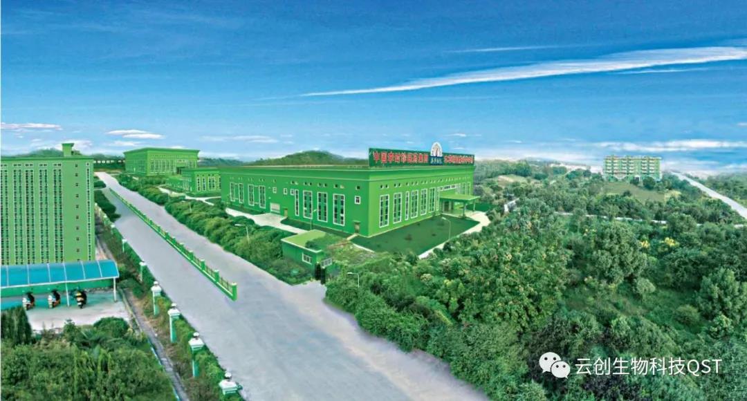 專(zhuān)業(yè)專(zhuān)注，匠心可見(jiàn)——云創(chuàng  )蘄善堂考察團前往李時(shí)珍醫藥集團考察