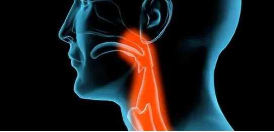 這個(gè)穴位祛痰濕，專(zhuān)克咳嗽痰多、肥胖結節！