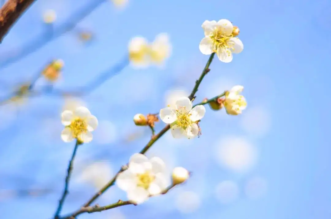 “女人的腳、男人的背”不能受寒，易落下病根!