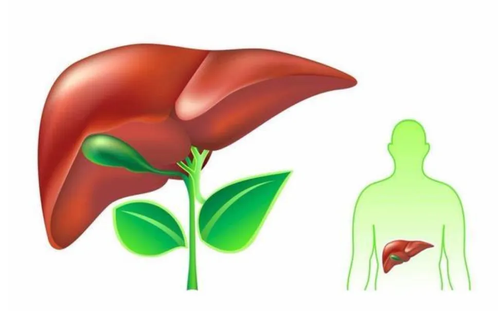 臉、眼、唇發(fā)黑，肝臟要遭殃!