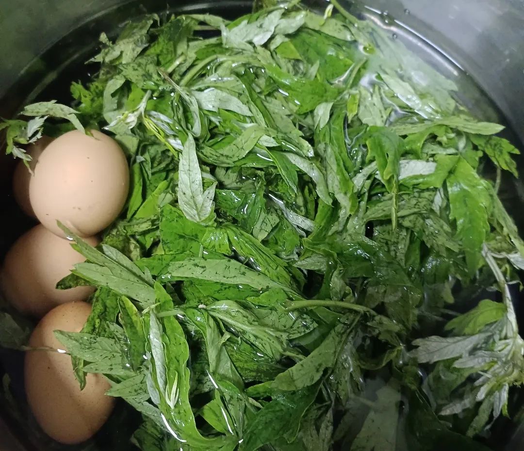 微信圖片_20220606182310.jpg 微信圖片_20220606182310.jpg