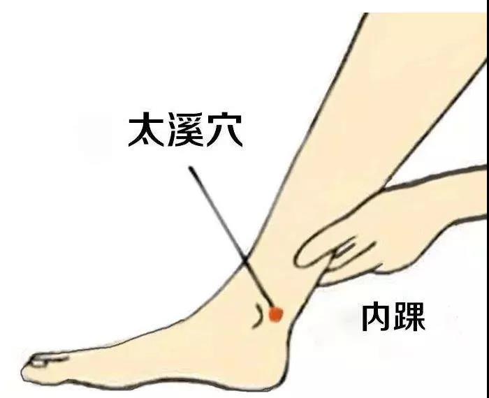 護腎養腎？這六大穴位就夠了！